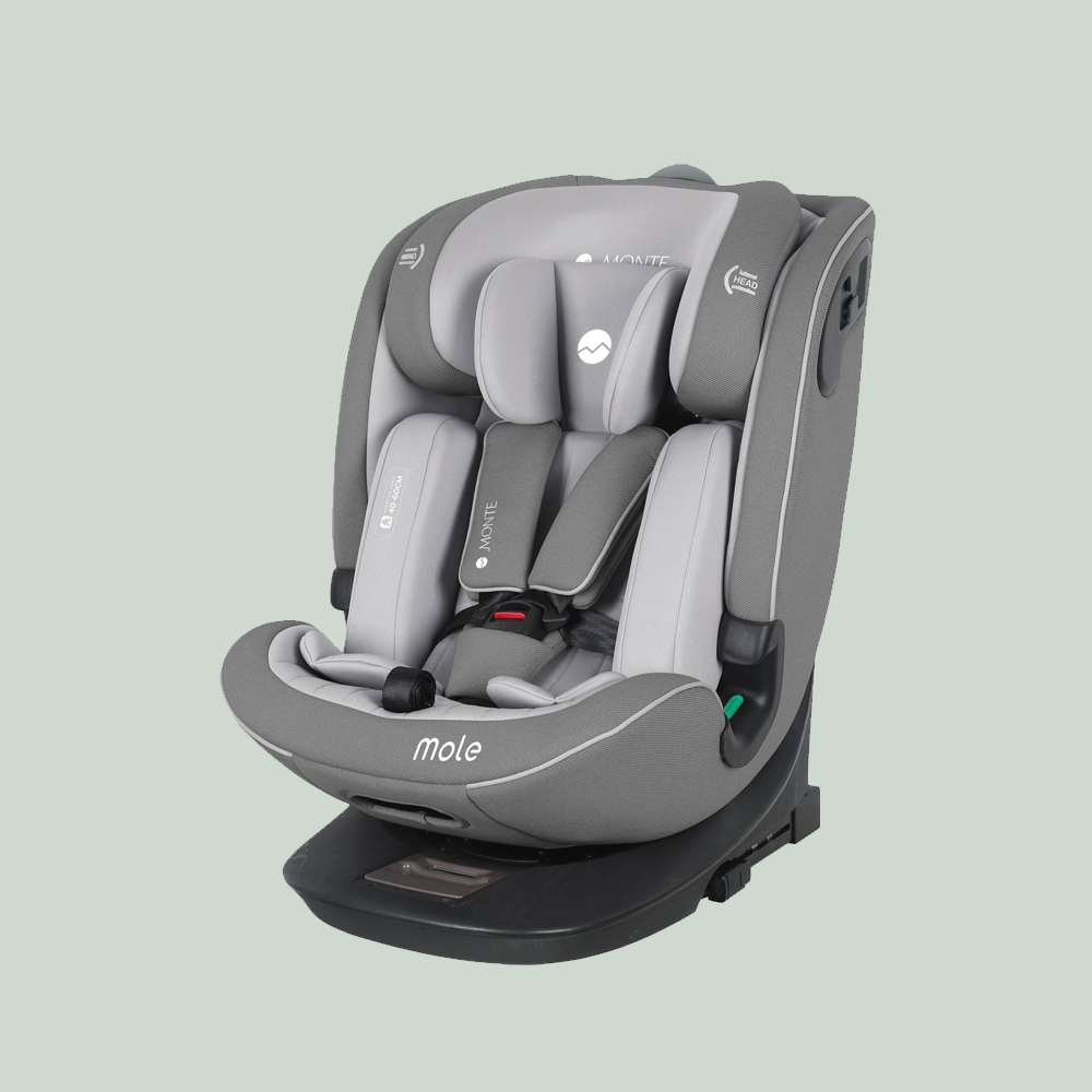 Car Seat, Mole Model